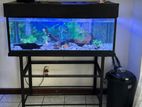 Fish Tank with All Accessories