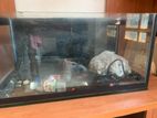 Fish Tank with All Accessories
