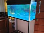 Fish Tank with All Equipment