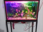 Fish Tank with Equipments