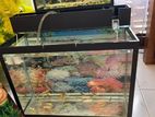 Fish Tank with & Filter