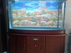 Fish Tank with Cabinet