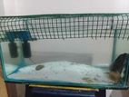 Fish Tank with Cleaner
