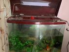 Fish Tank with Cupboard