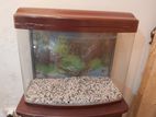 Fish tank with cupboard