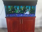 Fish Tank with Stand 18 inch x 36