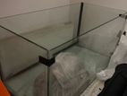 Fish Tank with Setup