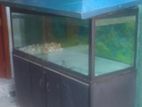 Fish Tank with Fibreglass Cupboard