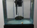 Fish Tank with Filter and Stand