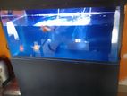 Fish Tank with Fishes Aquarium Lights and Pump