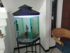 Fish tank with