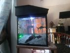 Fish Tank with Stand