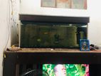 Fish Tank with