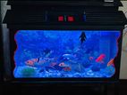 Fish Tank with Fishes