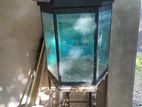 Fish Tank with Frame