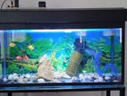 Fish Tank with Full Set