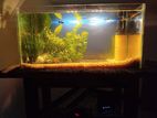 Fish Tank with Full Set