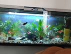 Fish Tank with Full Set