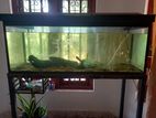 Fish Tank with Galvanized Stand 280 L