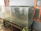 Fish Tank with Iron Stand