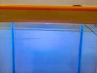 Fish Tank with Light