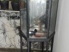 Fish Tank with Metal Stand