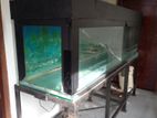 Fish Tank with Metal Stand