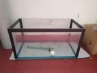 Fish Tank with moter
