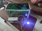 Fish Tank With Oxygen Lights.