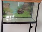 Fish Tank with Roof and Stand