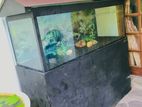 Fish Tank with Roof