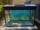 Fish Tank with Roof