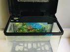 Fish Tank with Roof