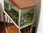 Fish Tank with Stainless Steel Stand