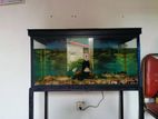 Fish Tank Set