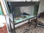 Fish Tank with Stand 4ft