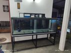 Fish Tank with Stand 6*2*2 12mm