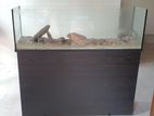 Fish Tank With Stand 6feet