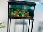 Fish Tank With Stand, Accessories Oxygen Filter
