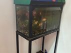 Fish Tank with Stand