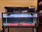 Fish tank with stand and overhead sump