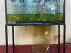 Fish Tank with Stand