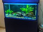 Fish Tank With Stand
