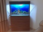 Fish Tank with Stand