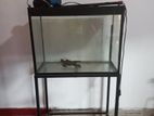 Fish Tank with Stand