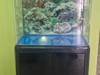 Fish Tank with Stand