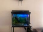 Fish Tank with Stand