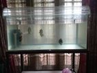 Fish Tank with Stand