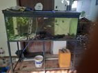 Fish Tank with Stand