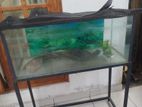 Fish Tank with Stand